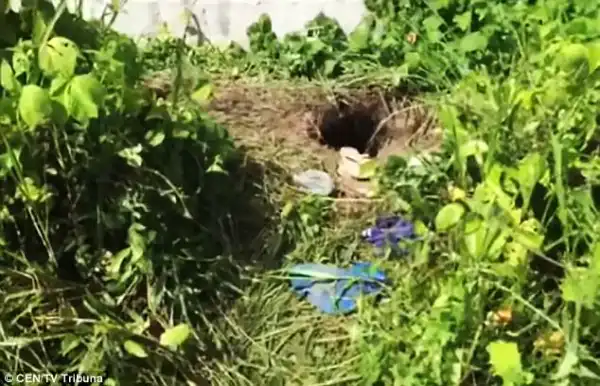 Almost 100 Inmates Escape From Prison Through Tunnel In Brazil. See Photos